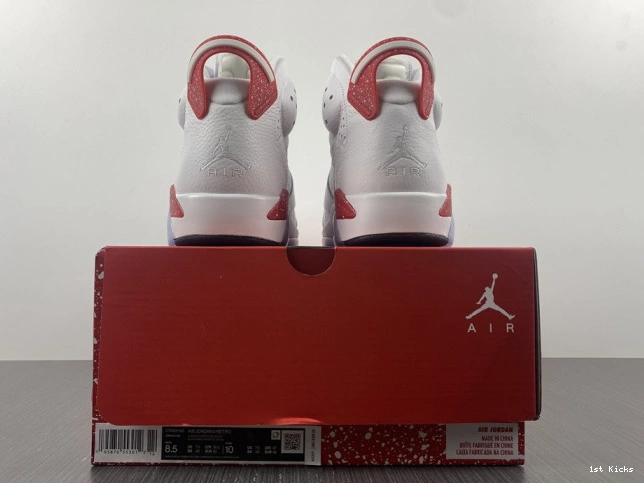 Retro Jordan CT8529-162 Hare 6 0825